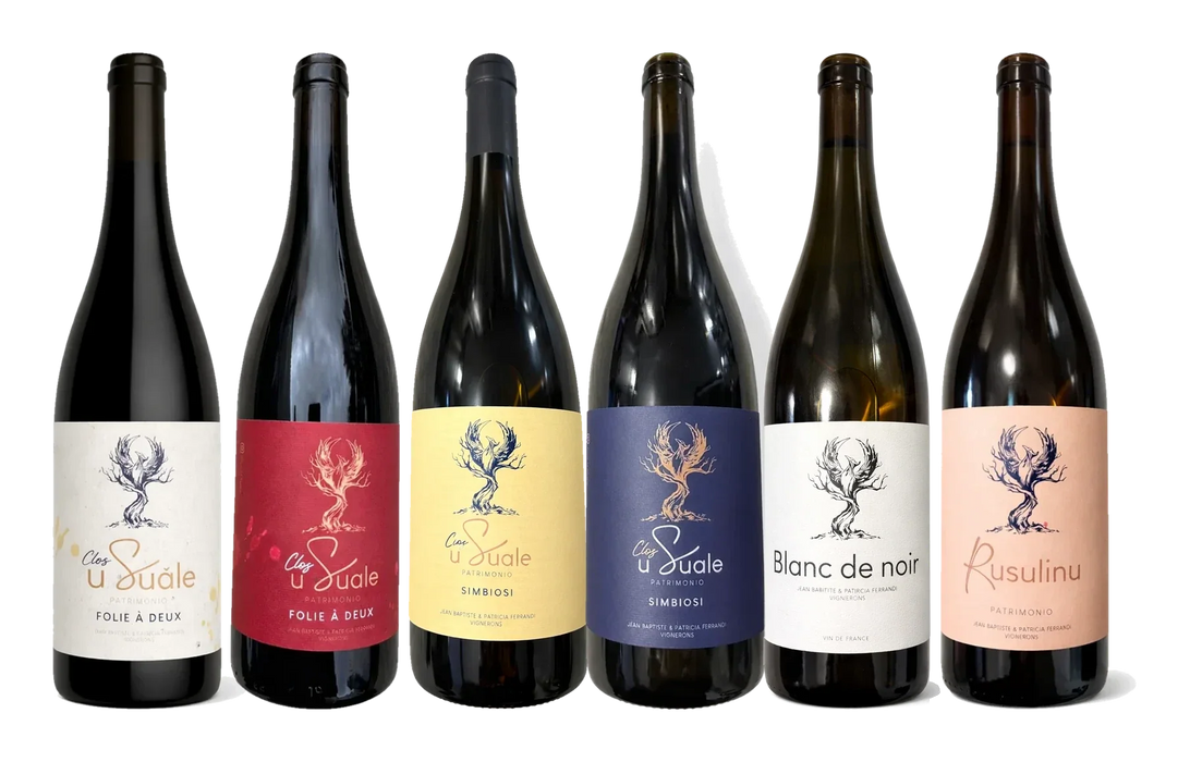 Carton découverte 6 bouteilles – Clos U Suale