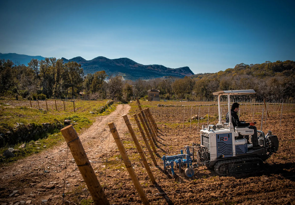 Travail de la vigne