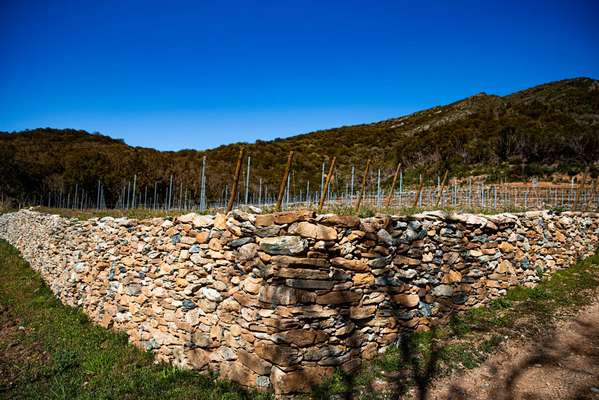 Mur en pierres sèches