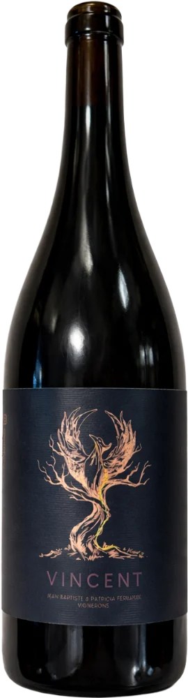 Vincent Rouge 2023 – Clos U Suale
